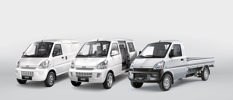 Comes in N300 Max (cargo van), N300 Move (passenger van) and N300 Work (pickup)